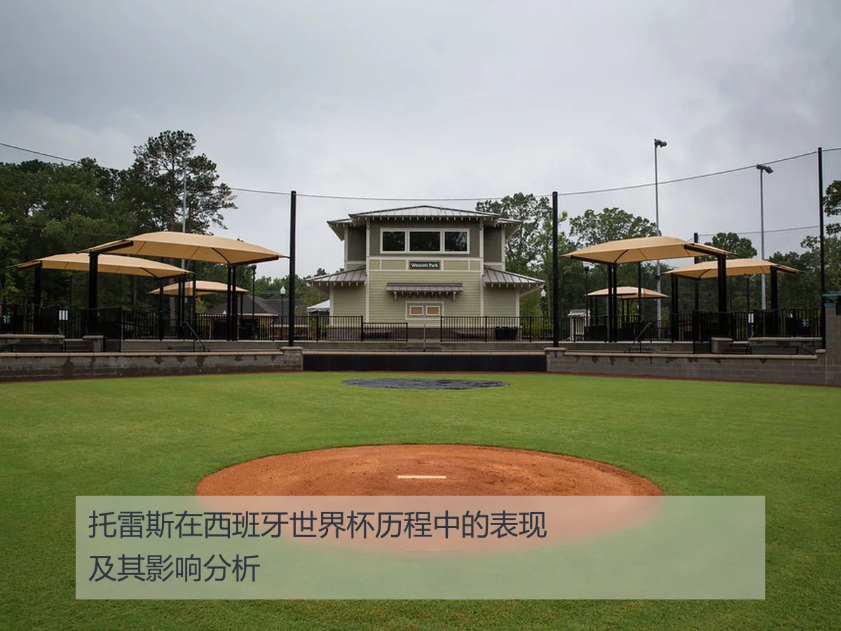 托雷斯在西班牙世界杯历程中的表现及其影响分析